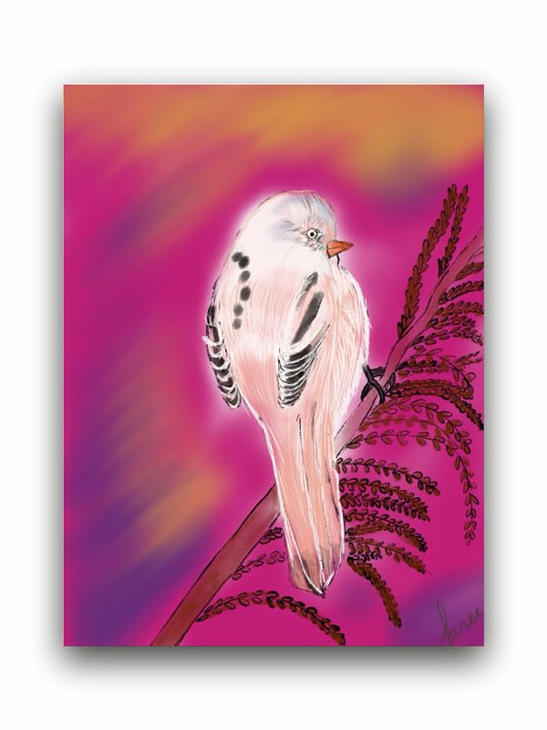 18-12-2024-DUS-SHR-1