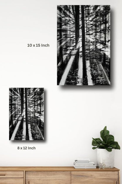 Art to Doors| Forest Light | Artist Fatima Akhun | Rectangle | Art Print | Home Decor | Wall Decor | Gift Items | Canvas Frame