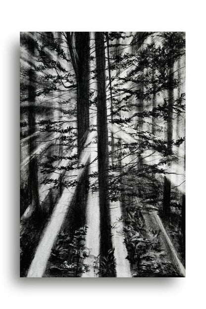 Art to Doors| Forest Light | Artist Fatima Akhun | Rectangle | Art Print | Home Decor | Wall Decor | Gift Items | Canvas Frame