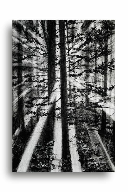 Art to Doors| Forest Light | Artist Fatima Akhun | Rectangle | Art Print | Home Decor | Wall Decor | Gift Items | Canvas Frame